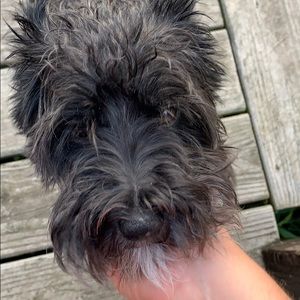 Meet your Posher, Whitney